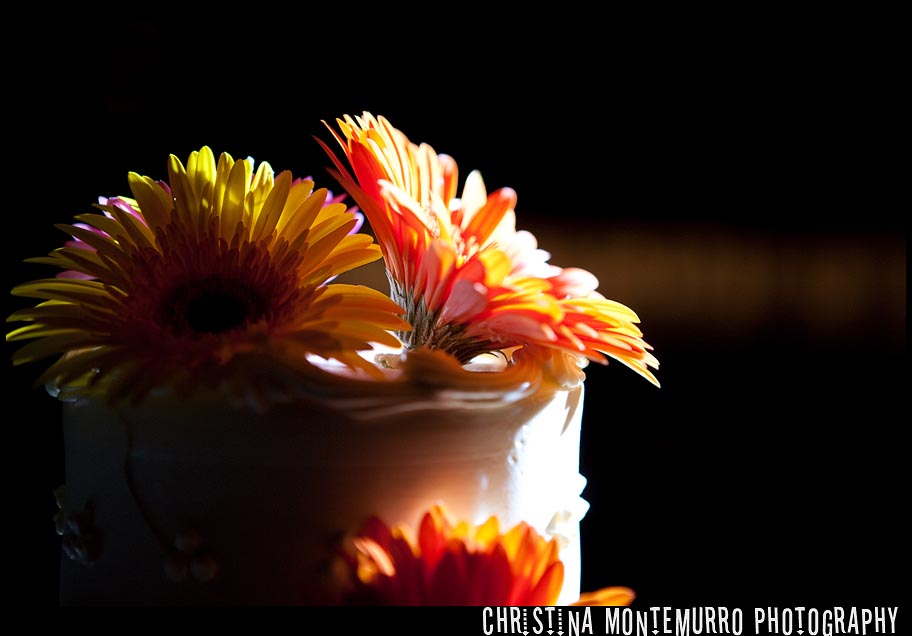 Pittsburgh Wedding Photographer Greentree Radisson Cake Flowers