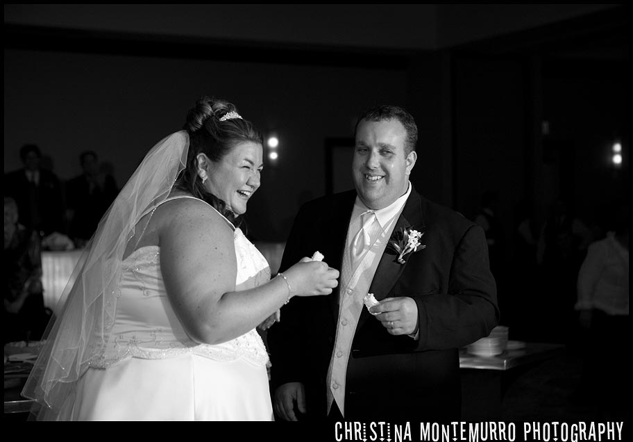 Pittsburgh Wedding Photographer Greentree Radisson Cake Cutting
