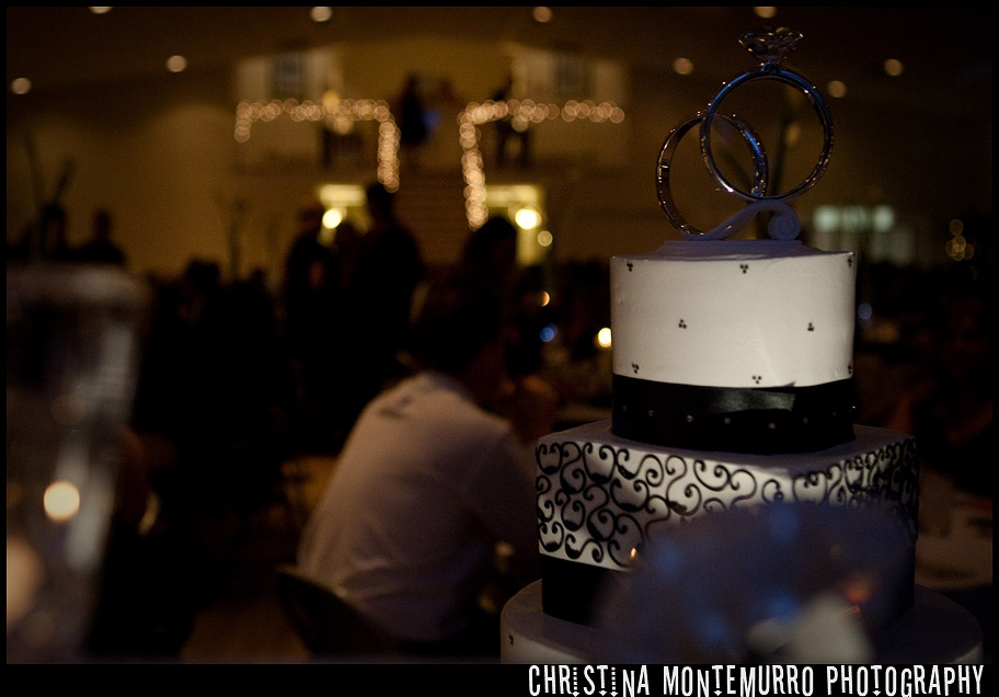 Greystone Fields Wedding Photography Pittsburgh - Wedding Cake