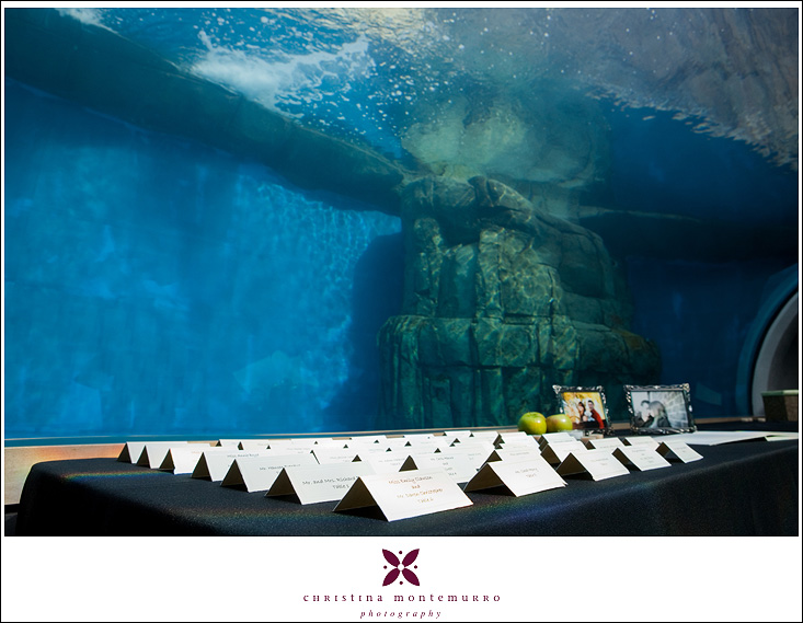 Pittsburgh Zoo  Aquarium Waters Edge Wedding Reception Venue-1