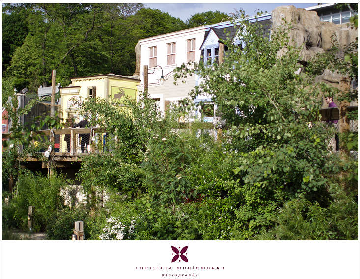 Pittsburgh Zoo  Aquarium Waters Edge Wedding Reception Venue-6