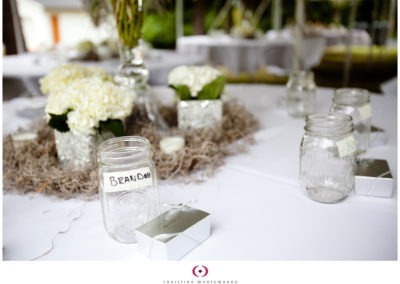 All in the details: Spanish moss