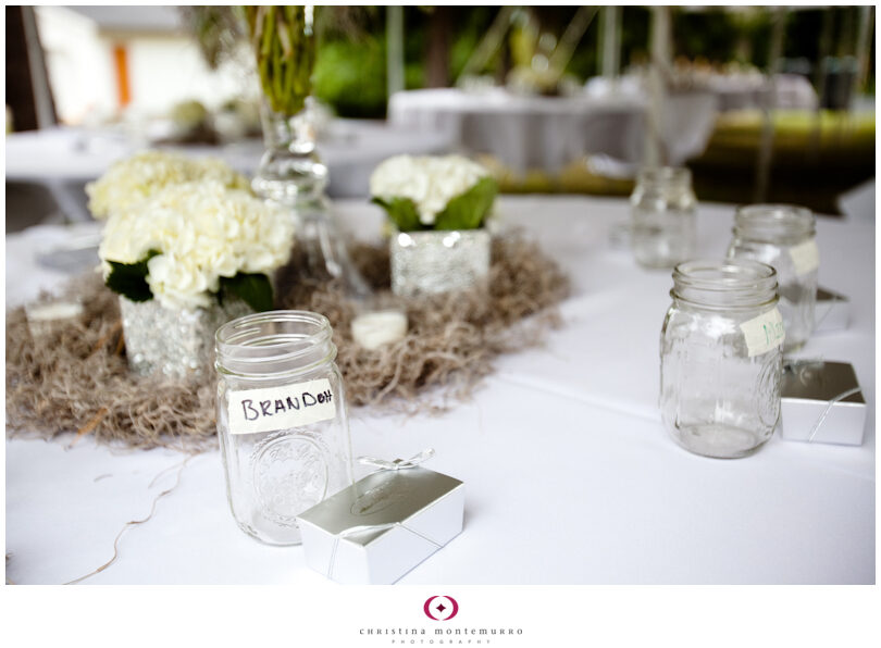 All in the details: Spanish moss