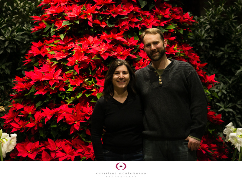 Phipps Winter Flower Show 2013 -7