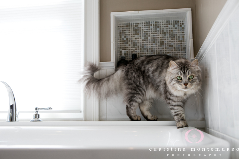 MADDesigns - Pittsburgh Interior Photography-1