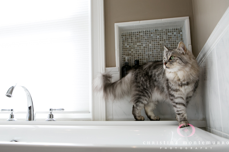 MADDesigns - Pittsburgh Interior Photography-2