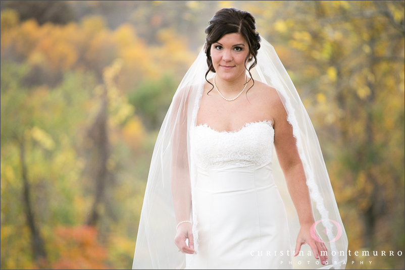 Bride Groom Portraits Fall Wedding Pittsburgh Wedding Photography
