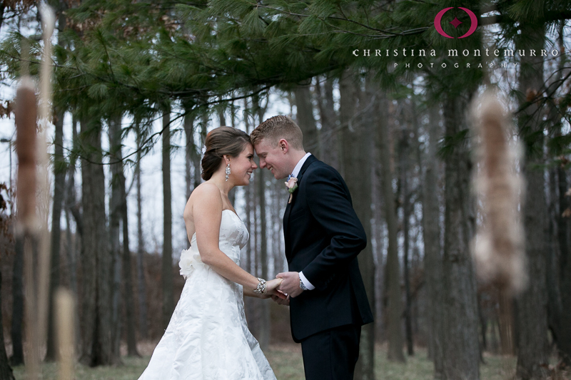 Bride Groom Portraits Cranberry Woods Pittsburgh Wedding Photography