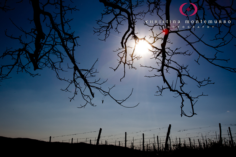 Silhouette in Panzano, Tuscany, Italy