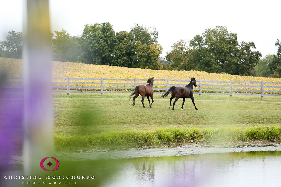 Jordan and Tim’s Wedding – Lingrow Farm
