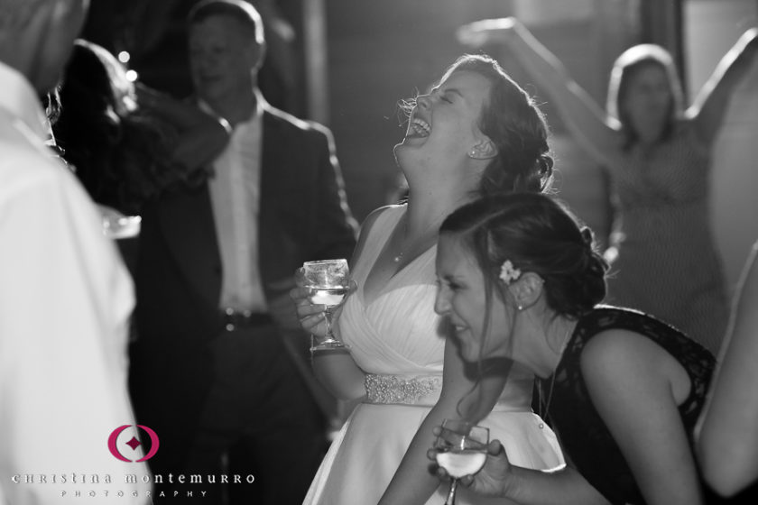 Lingrow Farm Wedding Pittsburgh Wedding Photography