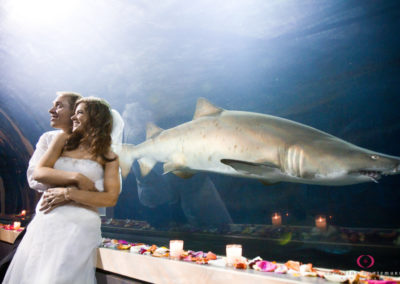 Pittsburgh Zoo – Water’s Edge