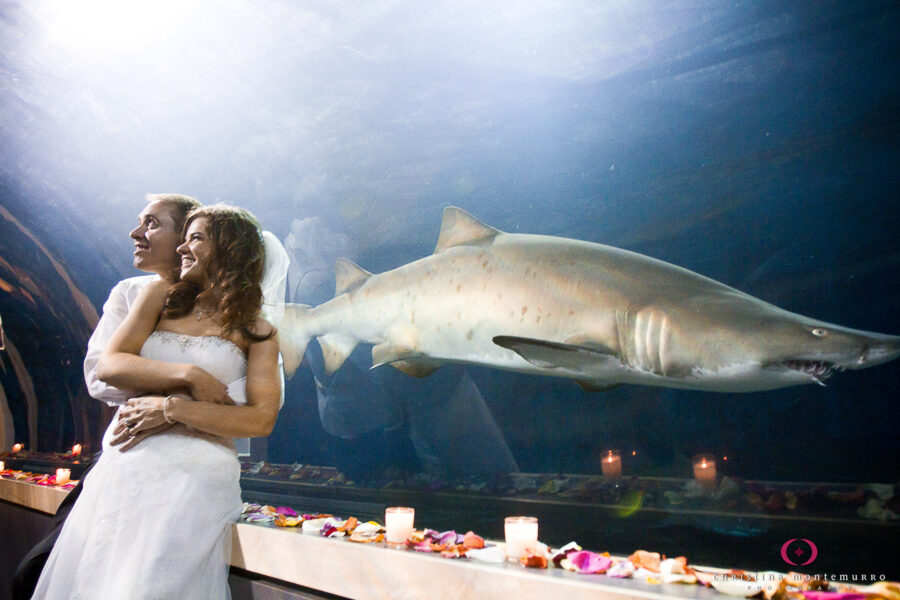 Pittsburgh Zoo – Water’s Edge