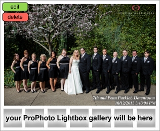 7th and Penn Parklet, Downtown Pittsburgh Wedding Photography