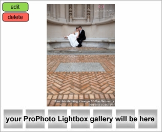Carnegie Mellon University Wedding Photos