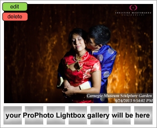 Carnegie Museum Wedding Photography