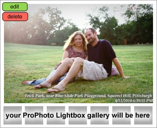 Frick Park Pittsburgh Wedding Photography