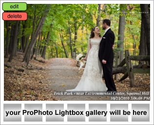 Frick Park Pittsburgh Wedding Photography
