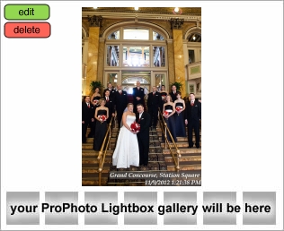 Grand Concourse Pittsburgh Wedding Photography