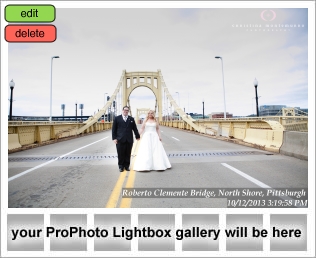 North Shore Pittsburgh Wedding and Engagement Photography