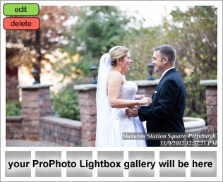 Sheraton at Station Square Pittsburgh Wedding Photographer