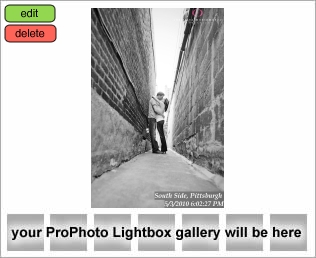 South Side Pittsburgh Engagement Photography