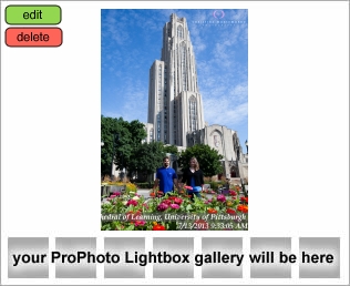 Cathedral of Learning wedding photos