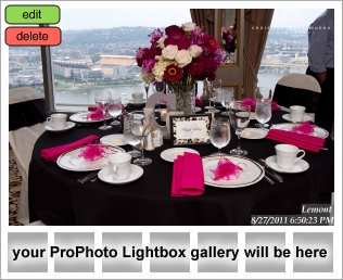 Lemont wedding pictures