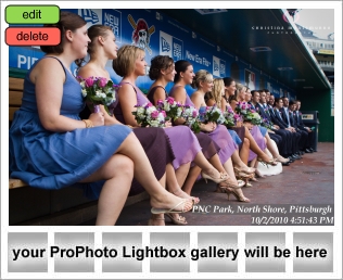 PNC Park wedding pictures