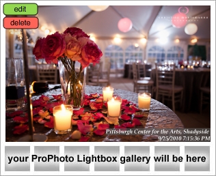 Pittsburgh Center for the Arts wedding photos