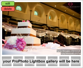 Syria Shrine wedding pictures