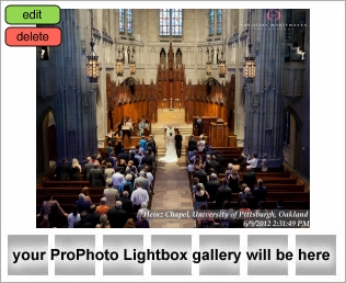 Heinz Chapel Weddings Photos