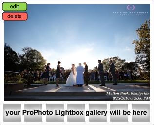 Mellon Park wedding pictures