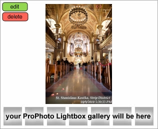 St. Stanislaus Wedding Pictures