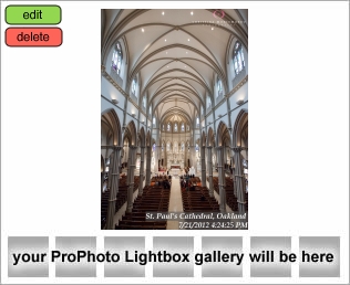 St. Paul's Cathedral Wedding Pictures